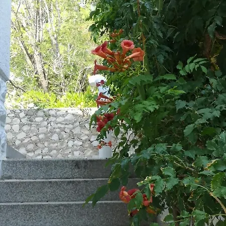 Appartement Bassi