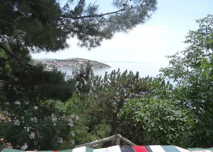 Bassi Apartman *