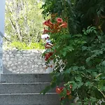 Διαμέρισμα Bassi